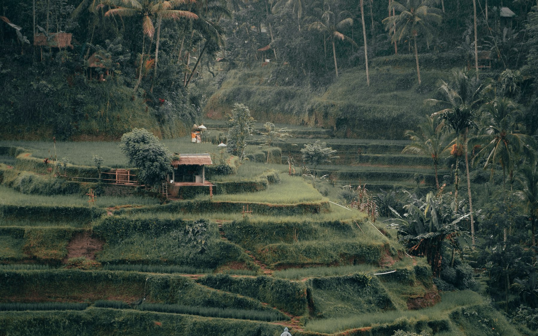 How to Plan the Perfect Bali Itinerary